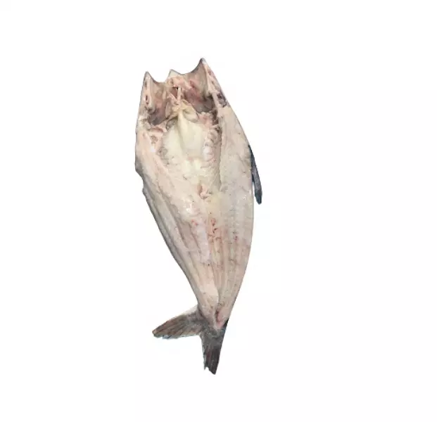 Seafood High Quality Pangasius Butterfly/ Basa Butterfly