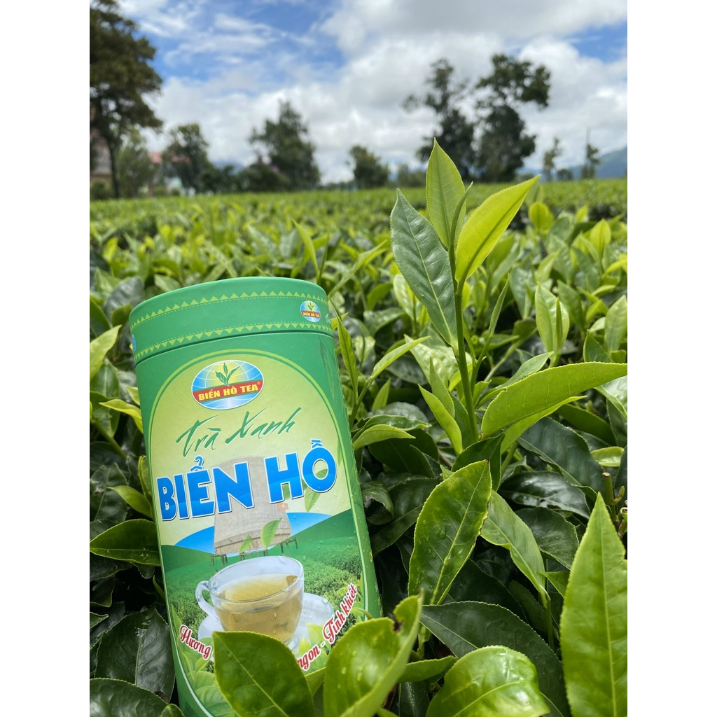 Bien Ho green tea in paper cans 100gr
