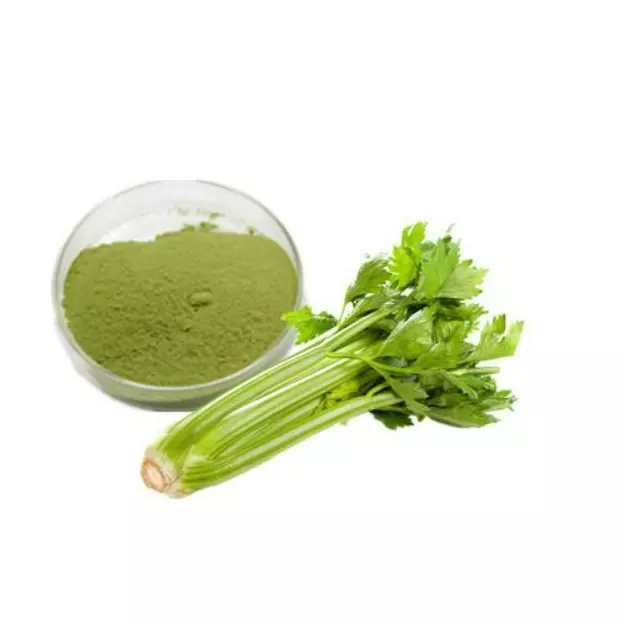 High Quality Celery Extract from Original Plant Factory Price Vietnam Manufacturer Export