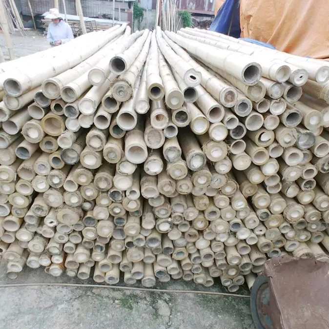 Wholesales Bamboo Canes/ Bamboo Pole/ Raw Bamboo/ Using for gardening, agriculture support with best price