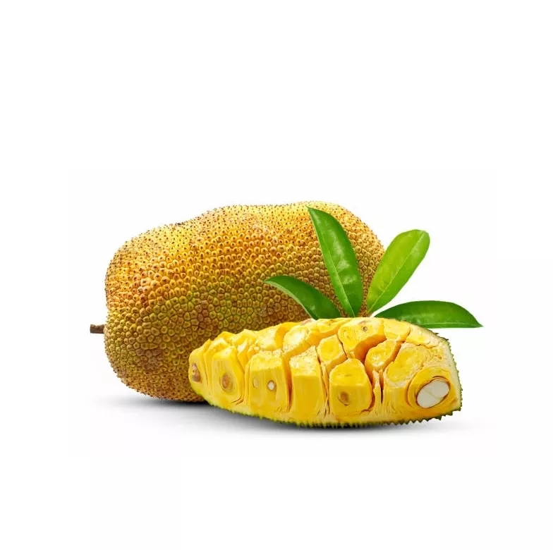 Best Product Agriculture Good Quality Tropical Fruit Fresh Jackfruit Natural Good Taste 100% Organic Guaranteed quality