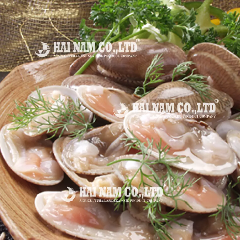 Wholesale High Quality 80 to 100% Net Weight Frozen Yellow Clam Without Shell Made In Vietnam