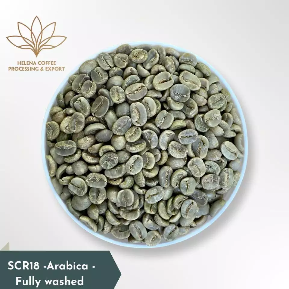 High Quality Whole Bean Coffee Arabica - Washed Process SCR18 Grade 1 - Whatsapp +84789818828