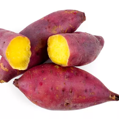 Fresh Japanese Sweet Potato with Good price Hot Sale High Quality 100% from Vietnam