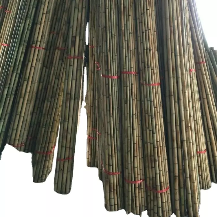 Nature Straight Strong Bamboo Canes Bamboo Poles/raw Bamboo Material/bamboo Canes