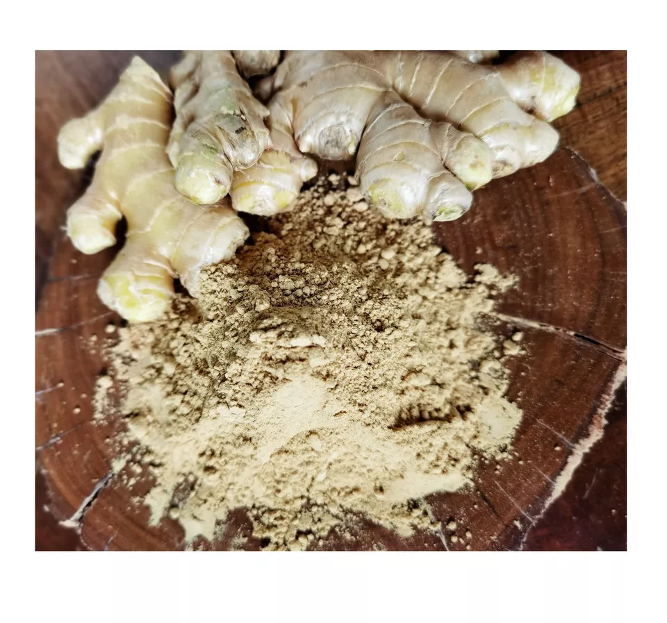 High Quality Natural Organic Nutritional Value Ginger Extract Powder from Vietnam Best Supplier Contact us for Best Price