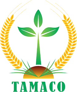Thua Thien Hue Agricultural Material Joint Stock Company