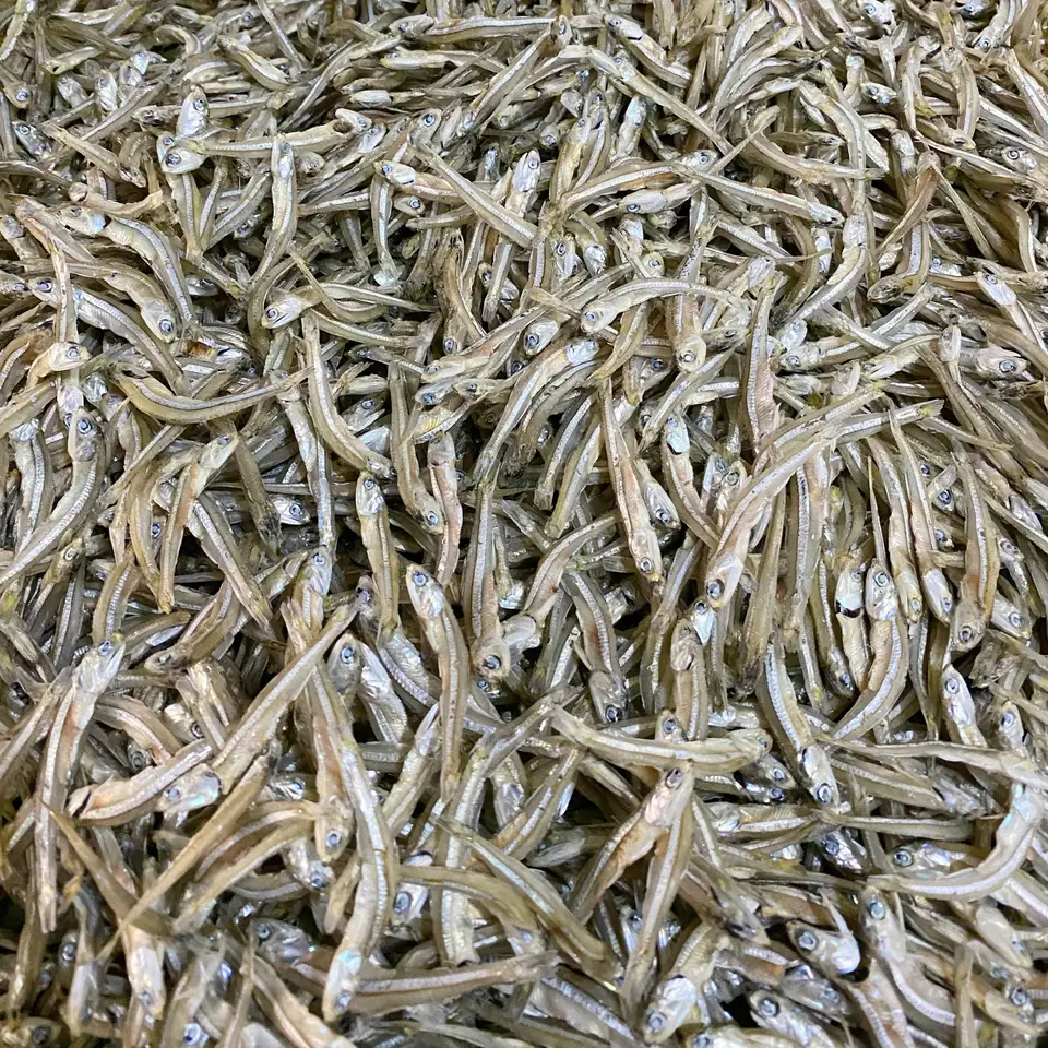 High-quality dried anchovy at wholesale price small dried fish from Vietnam Wholesaler manufacturers Seafood for 100% Export