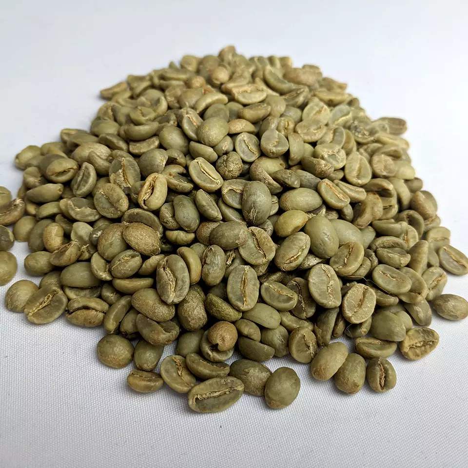 Max. Moisture 15% Raw Robusta coffee beans Grade 1 in 60kg Bag Taste Bitter Post sweet Shelf Life 12 months Top Quality