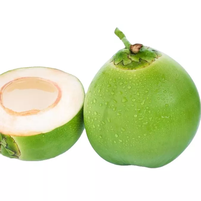 High Quality Cheap Wholesale Fresh Green Sweet Young Coconut for Daily Use from Viet Nam Manufacturer