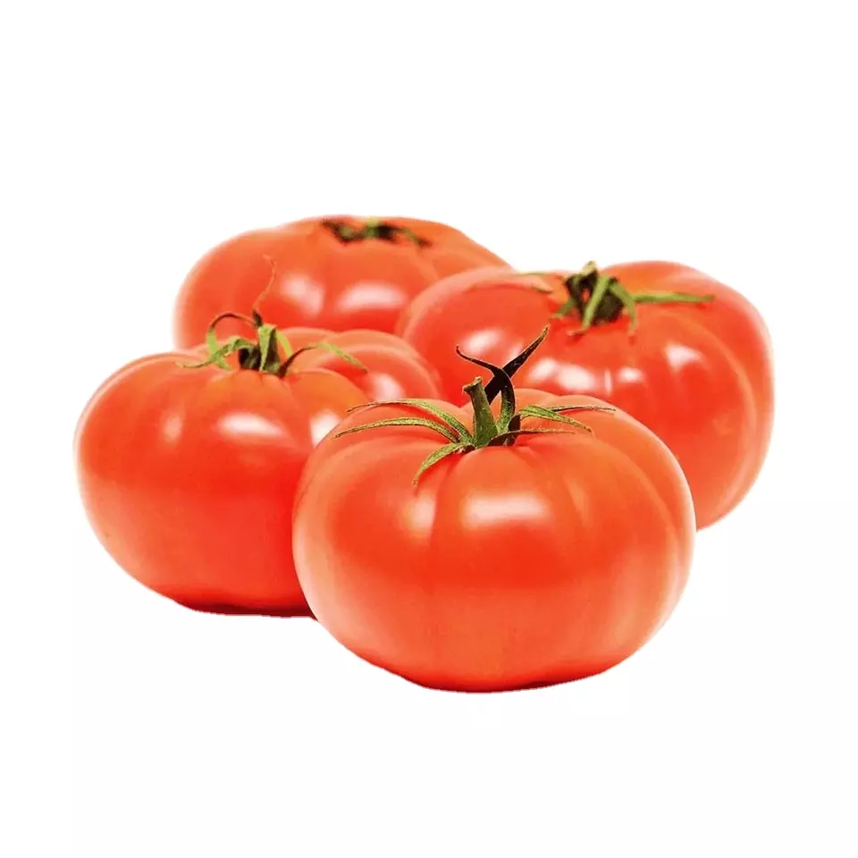 New Season Wholesale High Quality Fresh Beef Tomato At Competitive Price Made In Vietnam