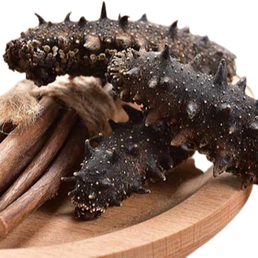 [HOT-SALE] DRIED SEA CUCUMBER/ EXPORT/ FROM VIETNAM