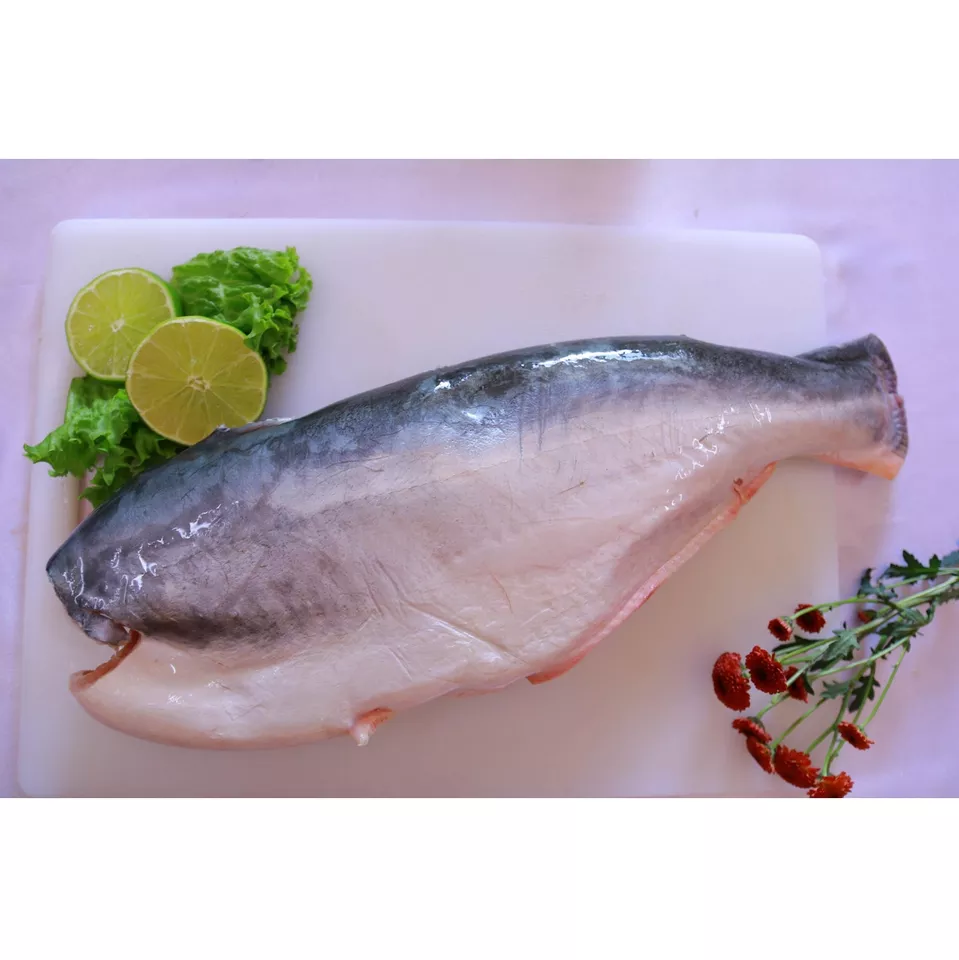 HIGH QUALITY FROZEN HGT PANGASIUS IQF Frozen fish seafood made in Vietnam pangasius fillet Best price