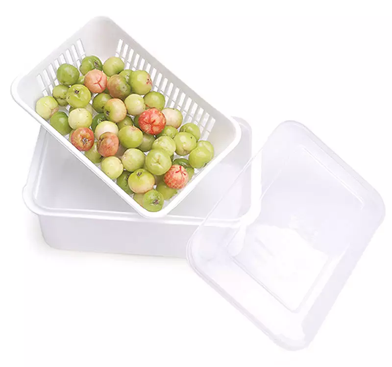 Wholesale High Quality Food Multifunction Food Plastic Box from Vietnam Best Supplier Contact us for Best Price