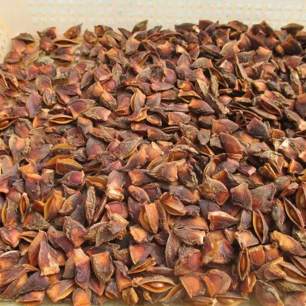 Vietnam Broken Star Anise (Illicium Verum) Whole Sales at very Good Price and High Quality