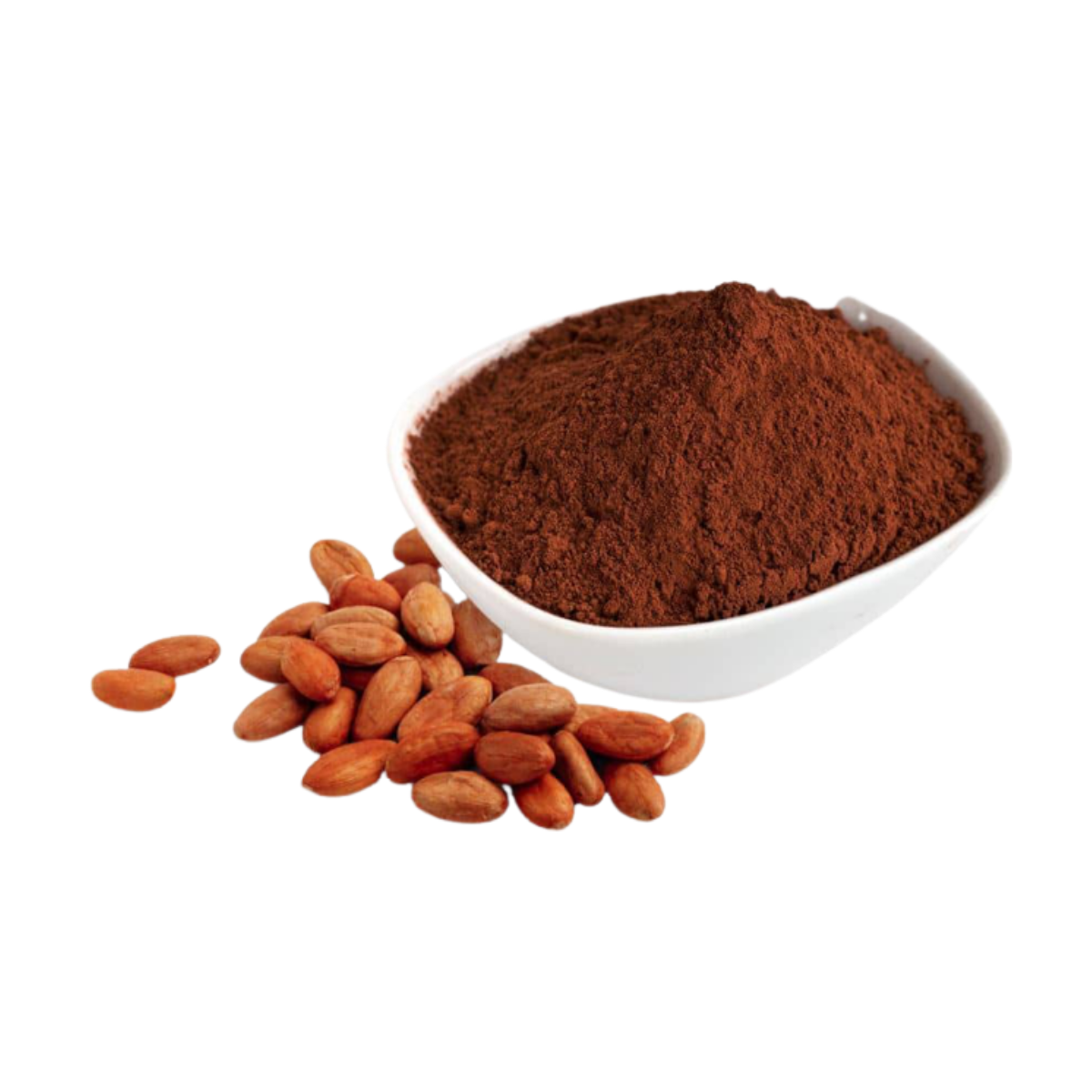 Hot Selling Cheap Price CoCoa Powder 2022 100% Organic High Quality Raw Cocoa Powder From Viet Nam