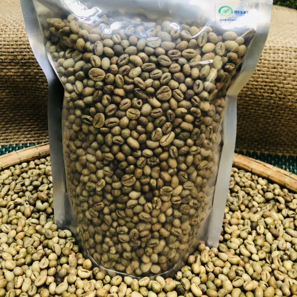 Cheap Raw CULI ROBUSTA Green coffee beans with Best quality beans (Fast delivery and supportive service)