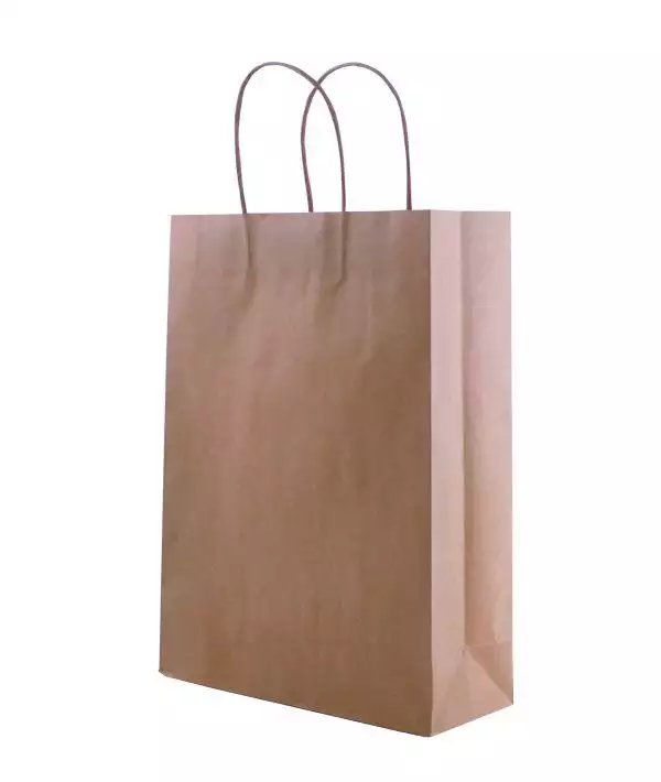 Flat Coated Kraft Shopping Paper Bag With OEM Logo Printing With Twisted Handle Brown Shopping Paper Bag