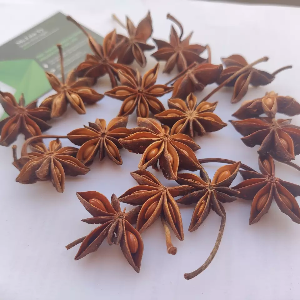 Whole Star Anise Seed / Spring Star Anise/ Illicium Verum New Crop 2022