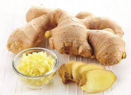 FRESH GINGER HIGH QUALITY THE BEST PRICE SUPPLY LARGE QUANTITY FROM VIETNAM VARIOUS TYPE OF PACKING