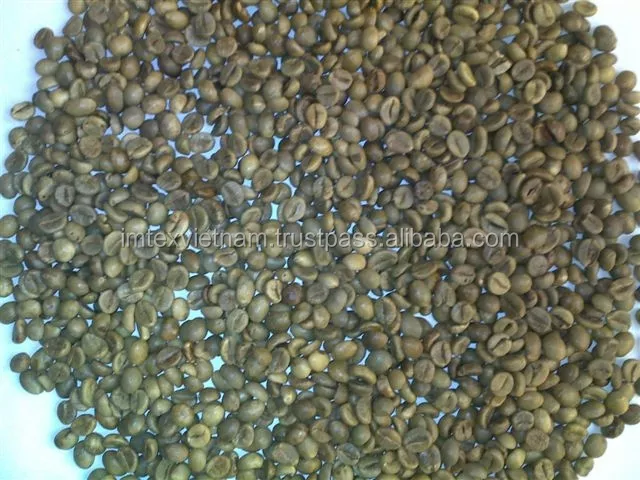 VIETNAM ROBUSTA COFFEE WET POLISHED S18 / GREEN COFFEE BEAN( WHATSAPP: 0084 164 9078 009 )