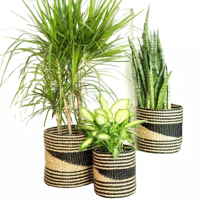 Sustainable Storage Basket Planter Resource-efficient Product High quality Flower Planter Pot Lovely Special Design