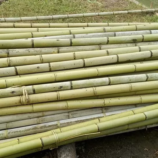Raw bamboo material, bamboo pole, bamboo stick cheap wholesale