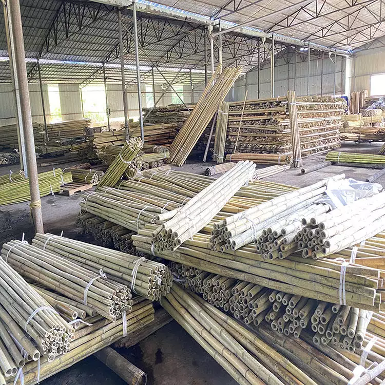 Vietnam Factory And 100% Raw Material Bamboo Pole With Customized Size For Agriculture For Garden Plant