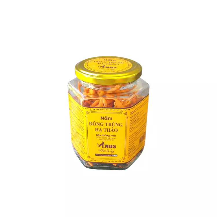 Dried Cordyceps Competitive Price Anti-Aging Cultivated & Dry Place Storage ISO Certification Packing In Jar/Box Vietnam