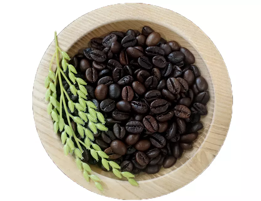 Vietnam high quality and best taste black coffee