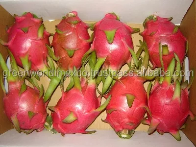 ATTRACTIVE PRICE - LARGE QUANTITY OF DRAGON FRUIT