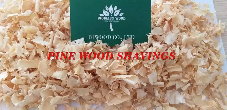 RUBBER / PINE / ACACIA WOOD SHAVINGS FOR PET, HORSE, POULTRY BEDDING WHATSAPPP: +84 911406611