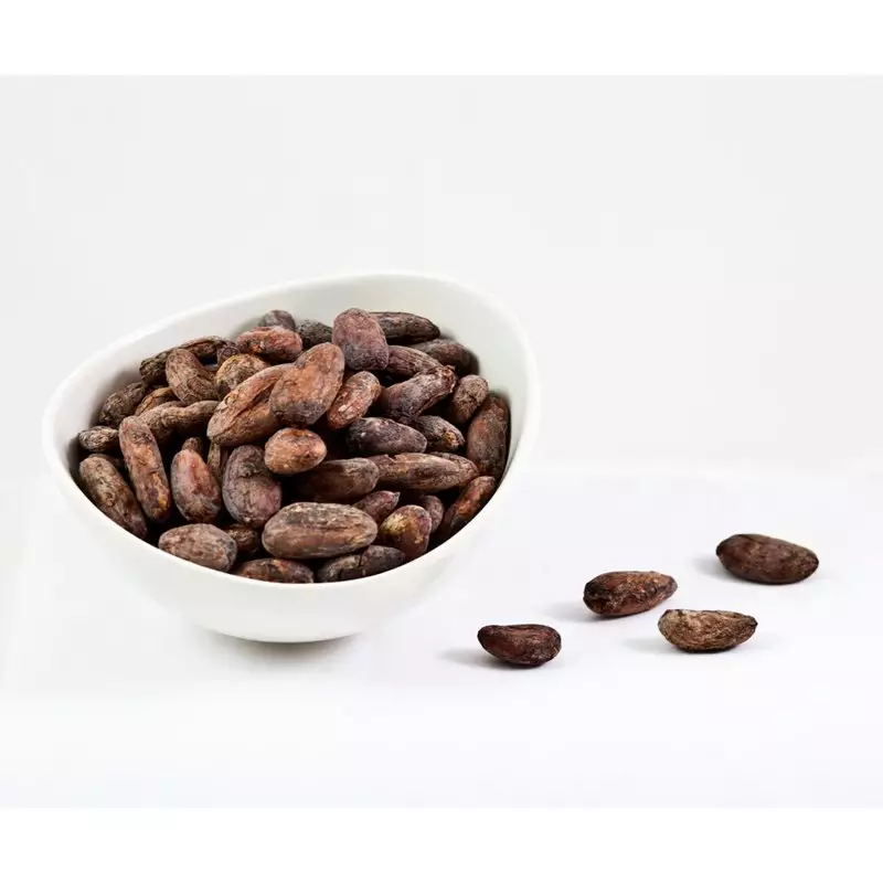 Dak Lak Cocoa Seed Premium Cocoa Bean Cheap Price Low MOQ Best Selling Top Grade Quality Wholesale Supplier From Vietnam