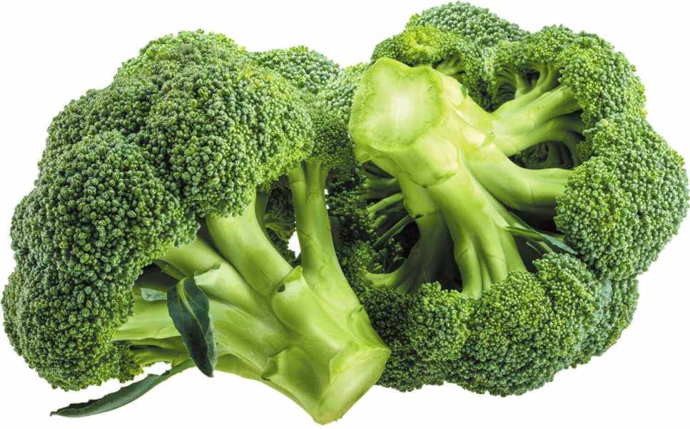 Fresh and good quality broccoli at competitive price from Viet Nam