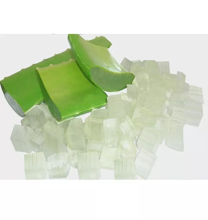 Wholesale High Quality Sterilized Aloe Vera Pulp Aloe Vera from Vietnam Best Supplier Contact us for Best Price