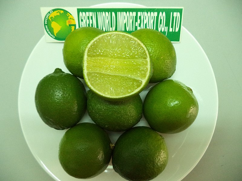 Lime from Vietnam - Super competitive price and quality