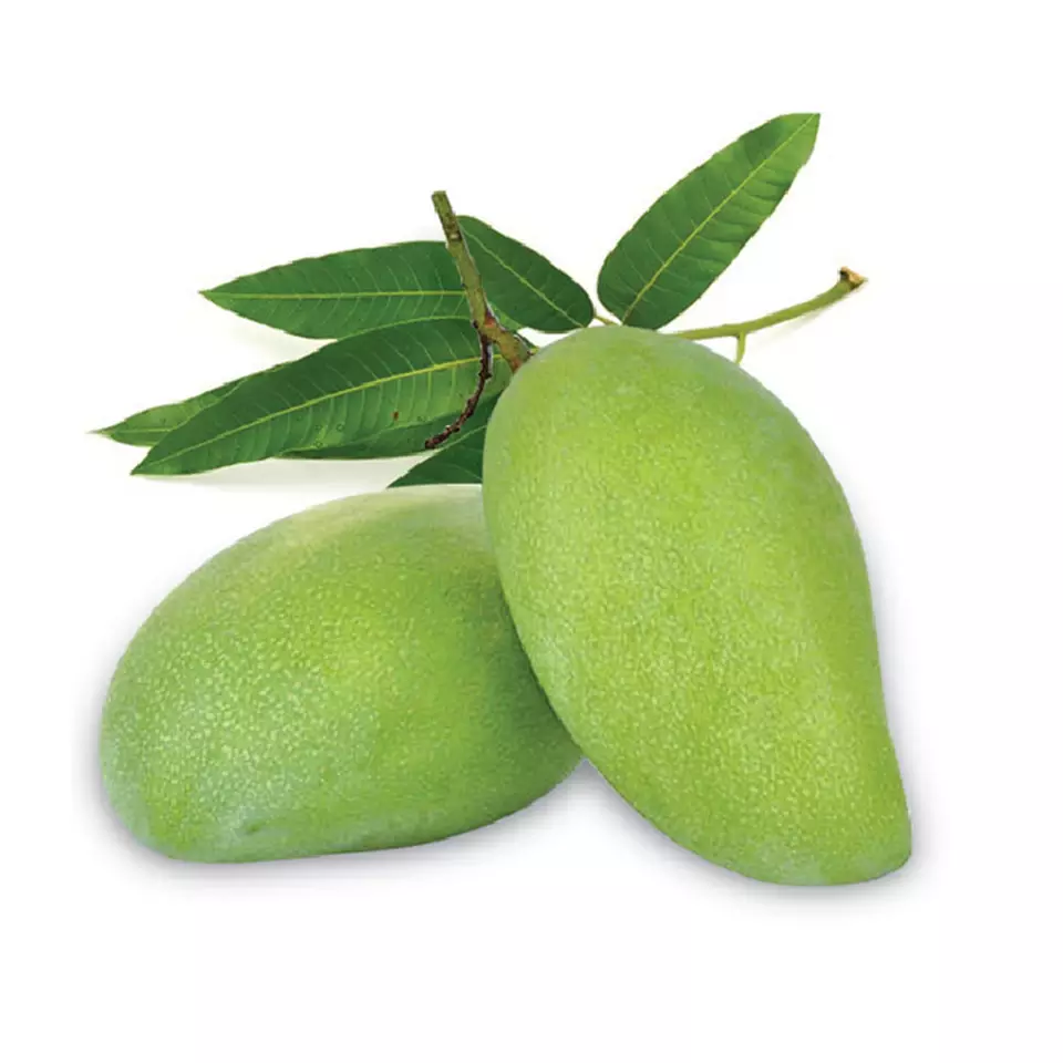 Premium Quality Fresh Fruits Grade A Fresh sweet green Mango With Weight 500g From Vietnam For Export