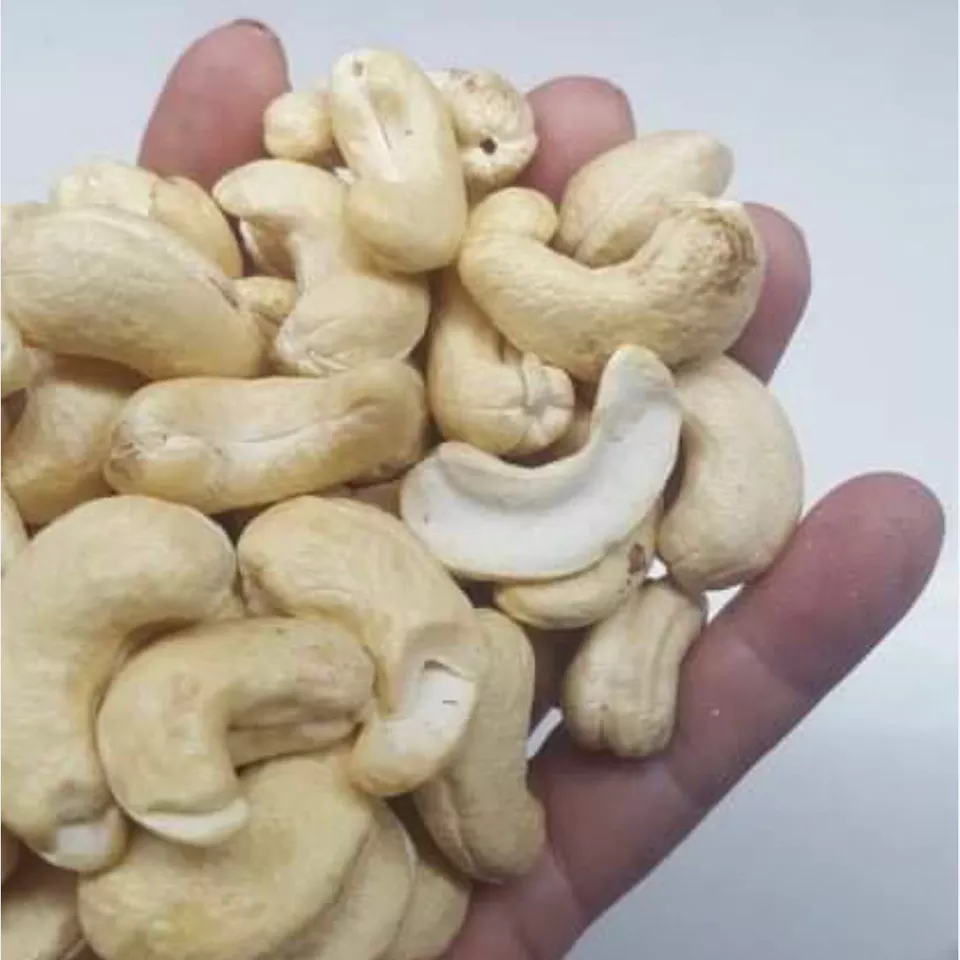 Factory directly w240 w320 cashew nuts from Vietnam cheapest cashew kaju with Organic Cultivation Type new season Vietnam