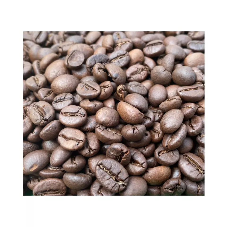 100% Roasted Coffee Factory Price Aeroco Good Coffee Manufacturing Roasted Bean Robusta