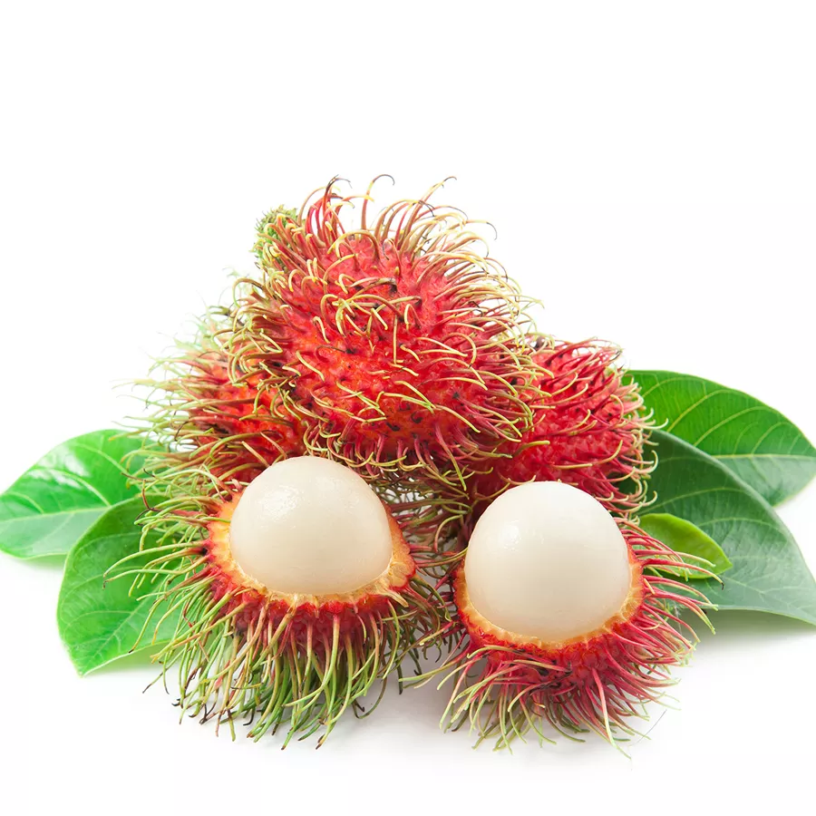 High quality competitive price fresh RAMBUTANT from Viet Nam