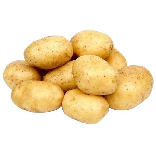 FRESH POTATO Potatoes HOT Sale In Bulk For Wholesale In Custom Packaging NEWEST CROP