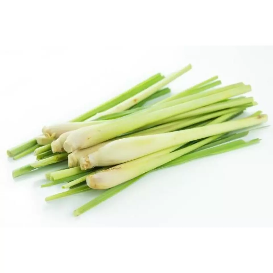 Natural Pure Essential oil Lemongrass from essential oil manufacturers in Vietnam with professional high quality FSSC 22000