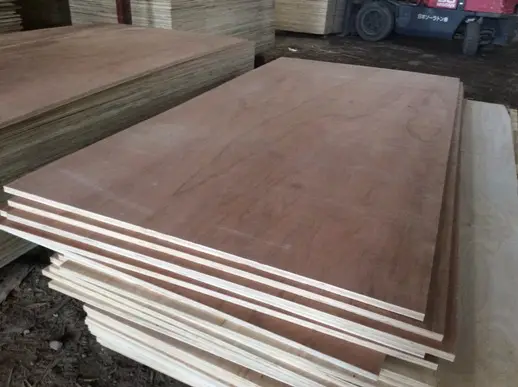 BINTAGOR PLYWOOD 11/11.5mm with best price