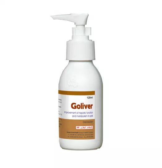 High Quality Veterinary manufacturer GMP certified for improvement of hepatic function and metabolism Swine, Dog, Goliver