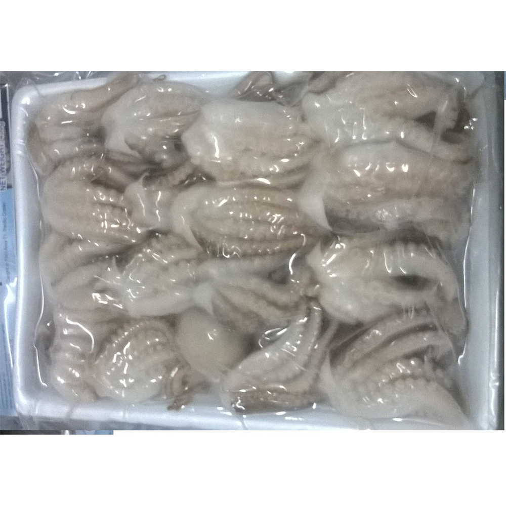 Frozen Octopus - Whole frozen octopus cleaned 450gr | Vietnam Food Export Products | IQF | Cheap Price | Frozen Octopus