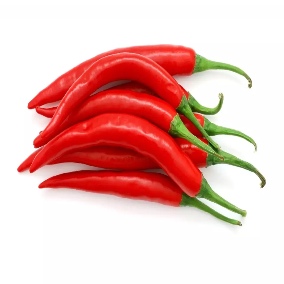 Good quality Fresh Chili red chili or green chili Vietnam natural chili hot spicy 100% pure fresh chili