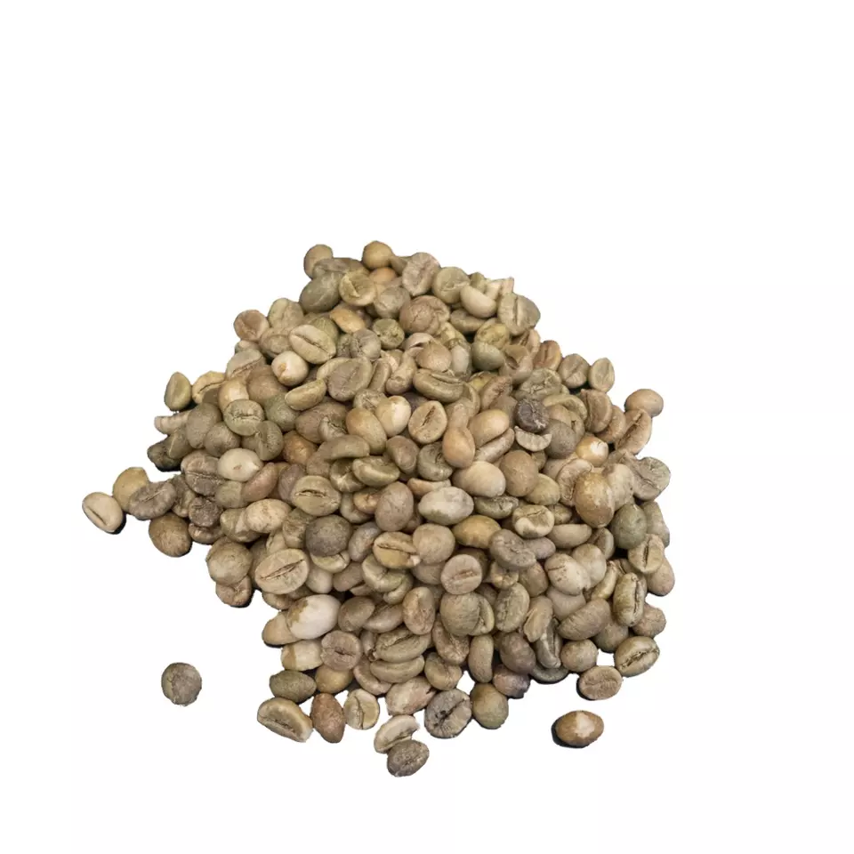 Best Price Dry/Wet Processing Vietnam Green Bean Robusta Screen 13-18