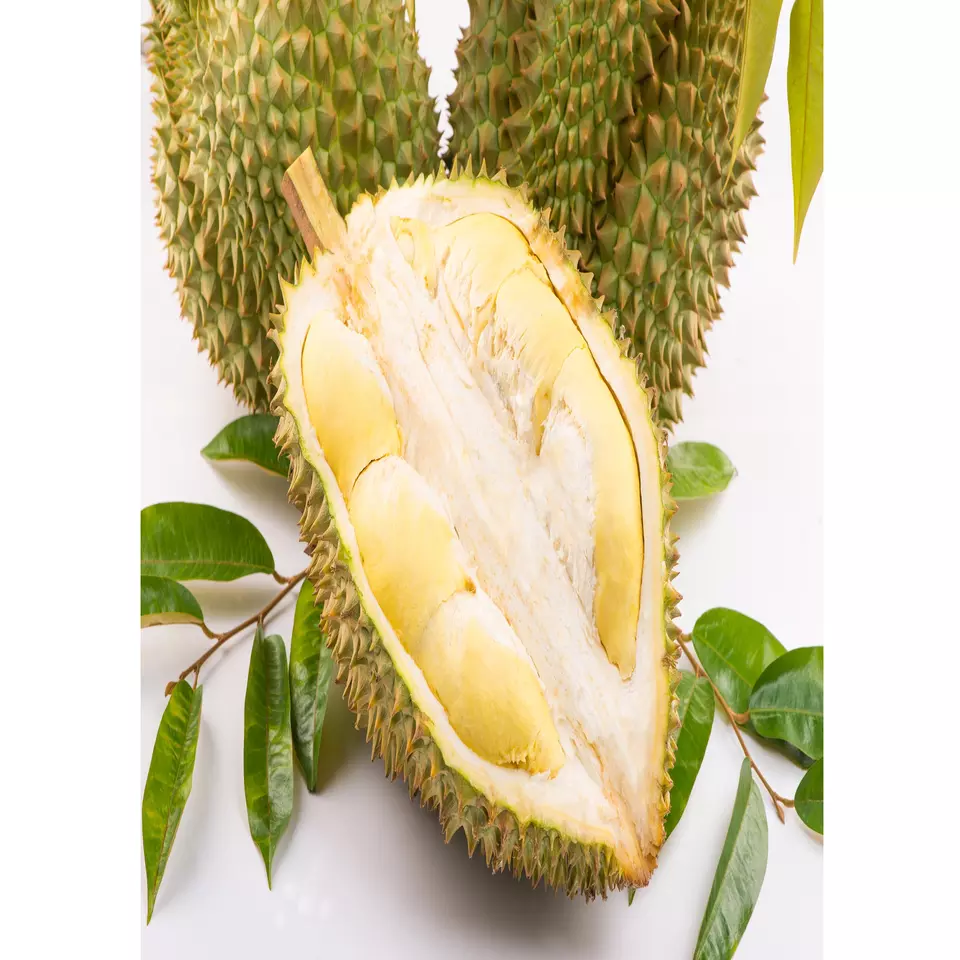 High Quality Carton Box Packaging Yellow Common Cultivation Type Sweet Taste Durian Export From Vietnam