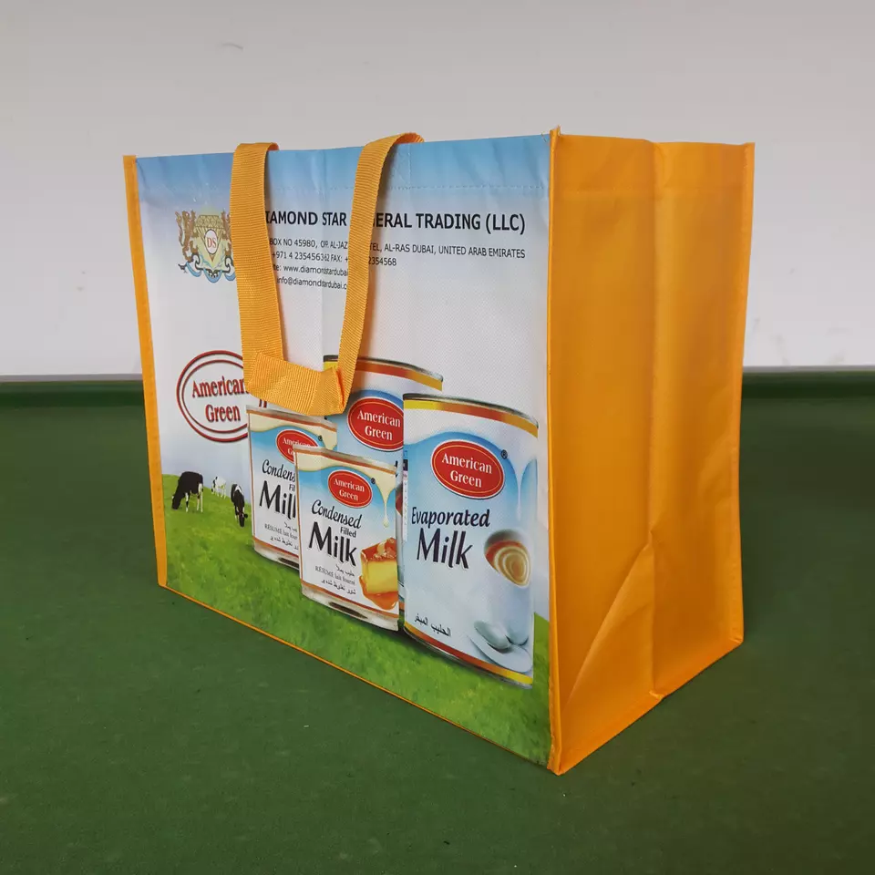 PP NON WOVEN SHOPPING BAG WITH ZIPPER