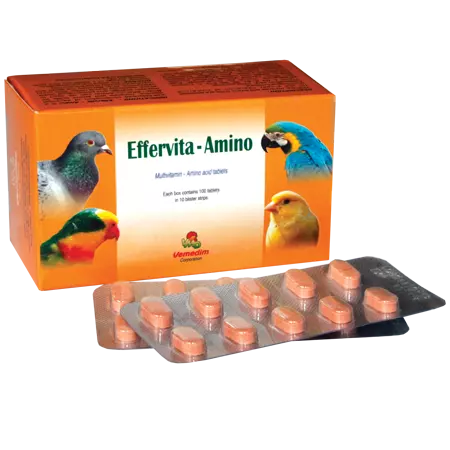 Multivitamin - Mineral - Amino Acid for Pet health Effervita - Amino